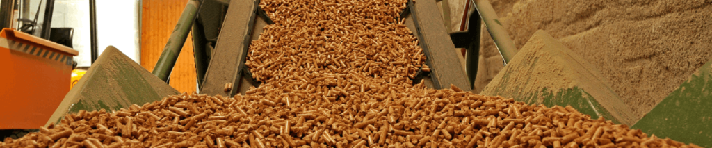 O que é biomassa e quais são seus principais tipos?