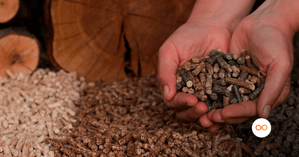 Conhe A Todos Os Tipos De Biomassa Dispon Veis No Brasil Coontrol Blog