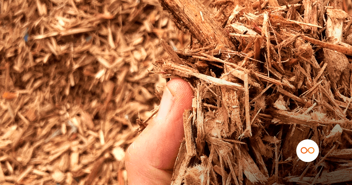 Biomassa e a importância na indústria 4.0