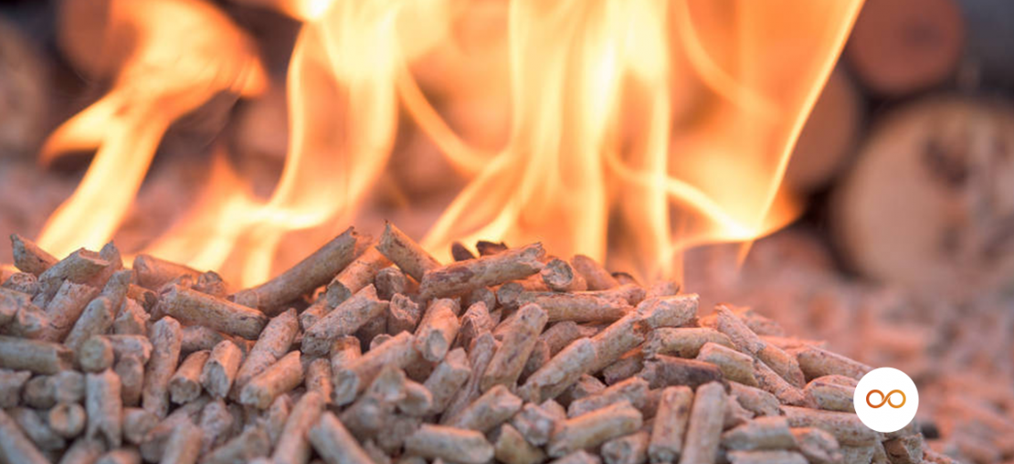 biomassa - na imagem biomassa queimando