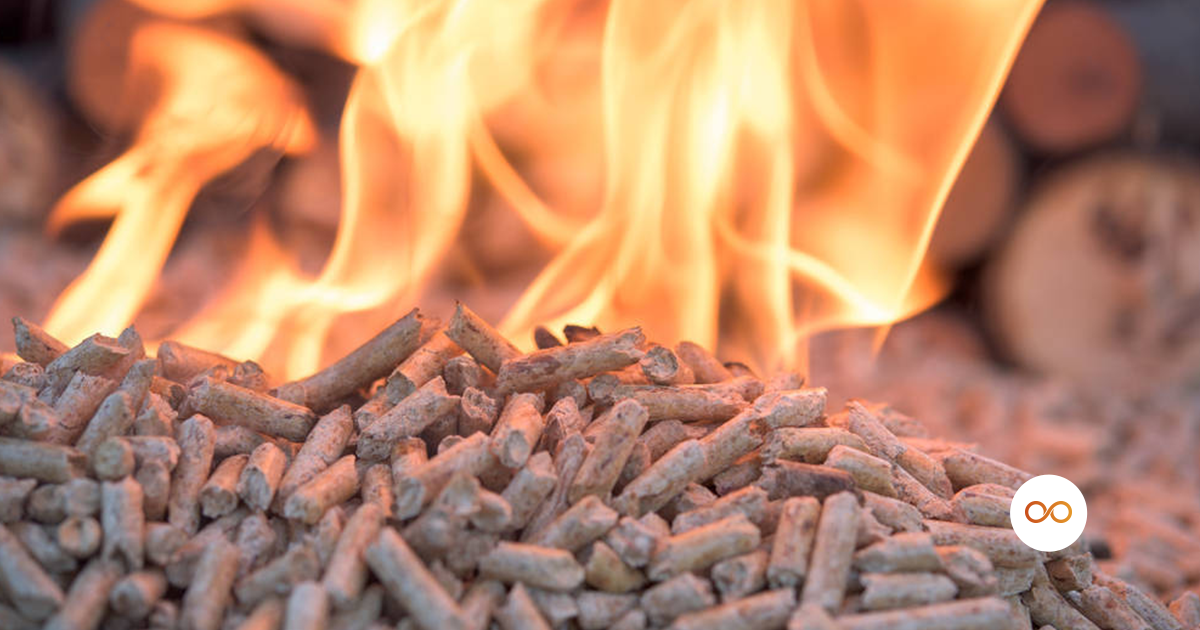 biomassa - na imagem biomassa queimando