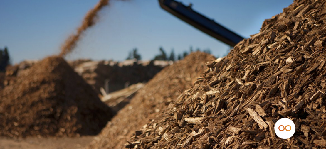 caldeira a biomassa - na imagem montes de biomassa