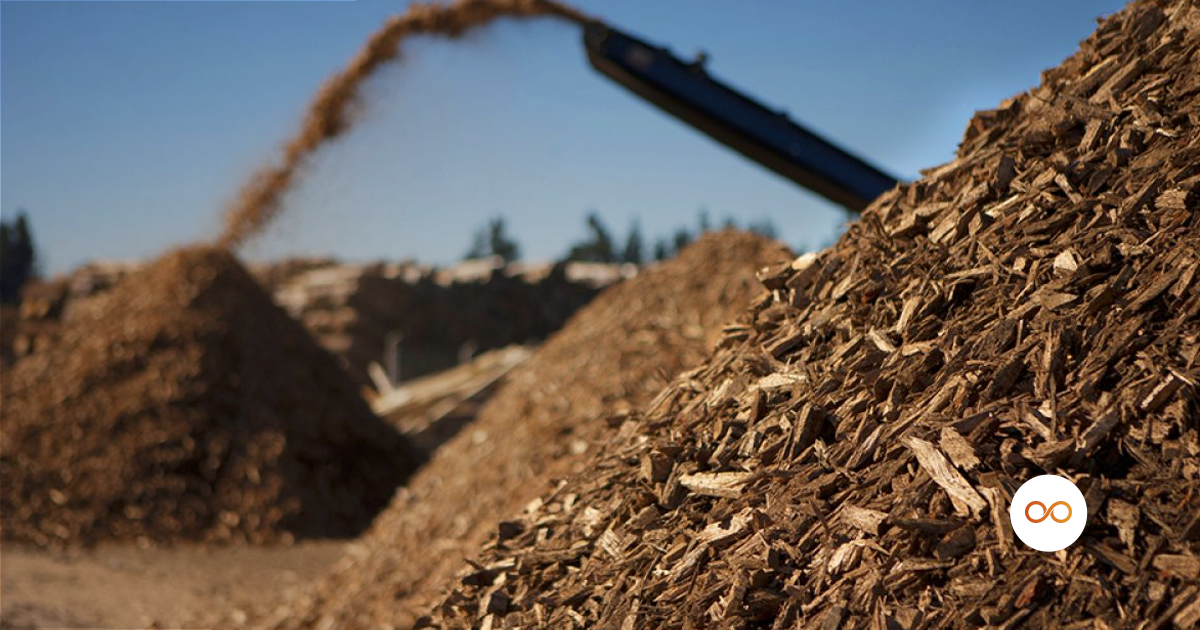 caldeira a biomassa - na imagem montes de biomassa