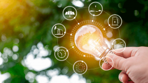 Caldeiras e a economia em energia