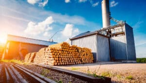 Energia renovável no Brasil: entenda o cenário na indústria