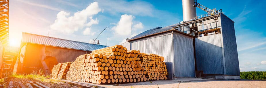 Energia renovável no Brasil: entenda o cenário na indústria