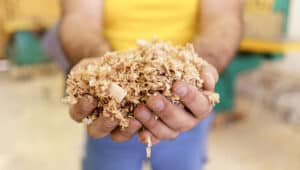 Biomassa: saiba a diferença entre combustão e gasificação