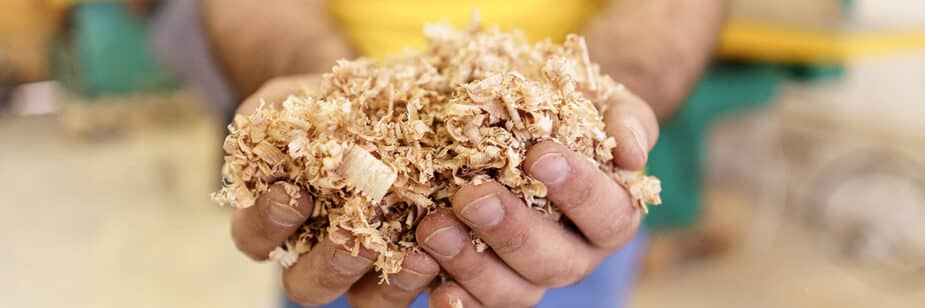 Biomassa: saiba a diferença entre combustão e gasificação
